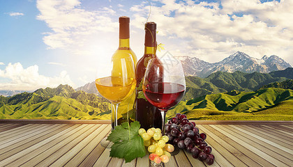 杯中光影 品味紅酒的藝術(shù)與酒杯的造型